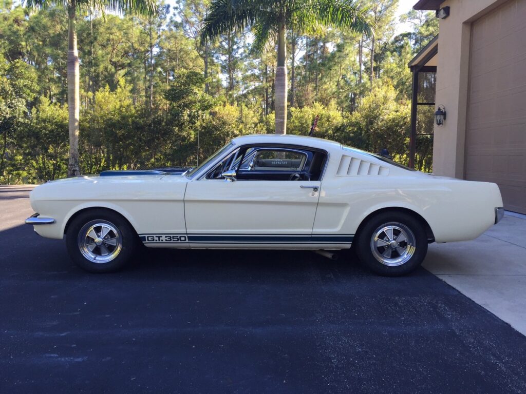 1965 Shelby GT350