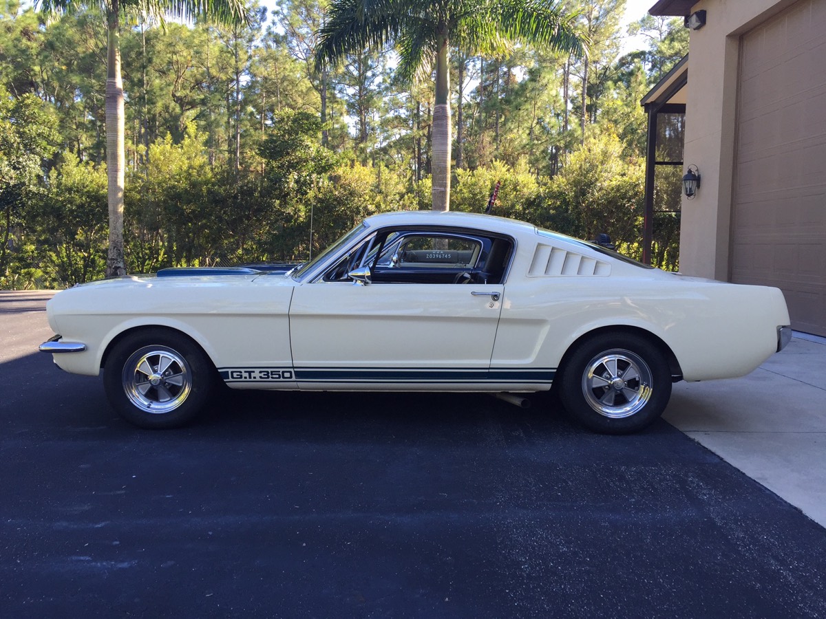 1965 Shelby GT350